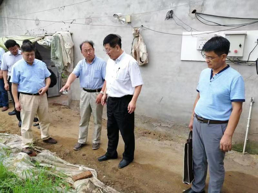麻豆社