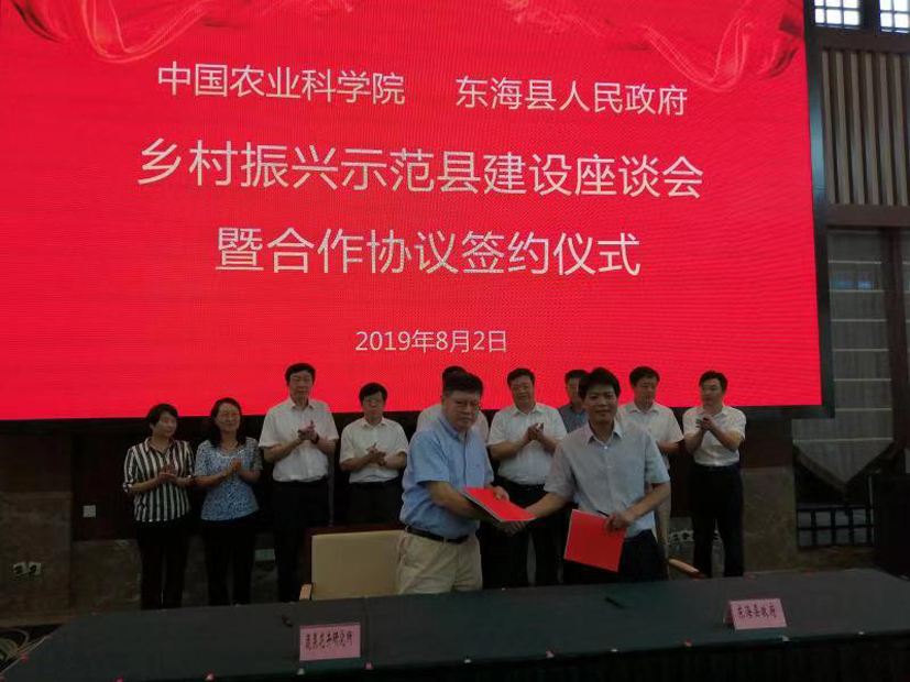 麻豆社