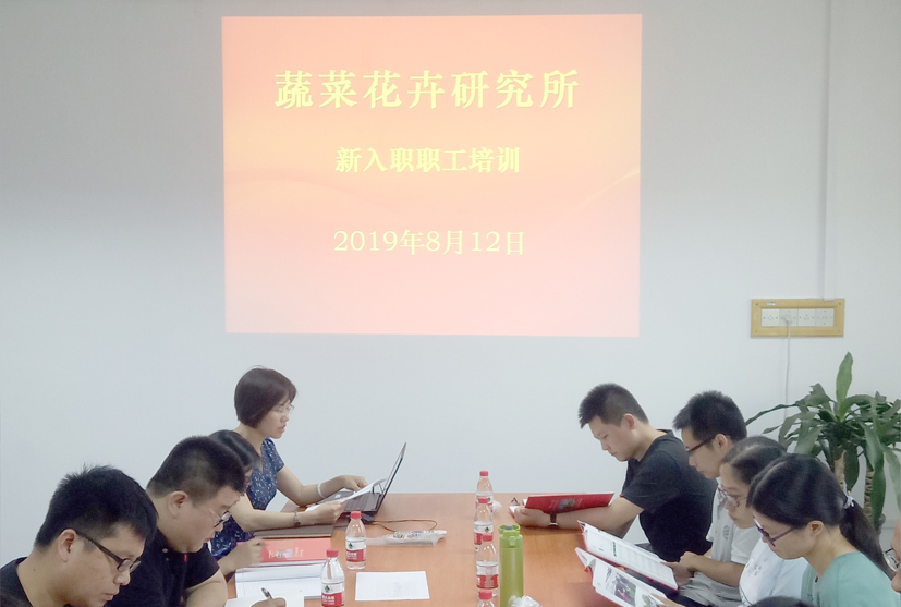 麻豆社