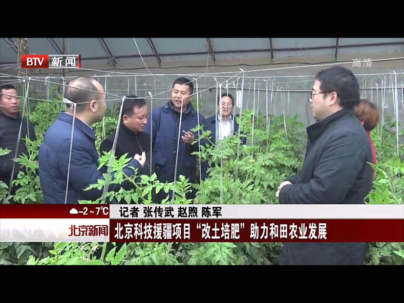 麻豆社
