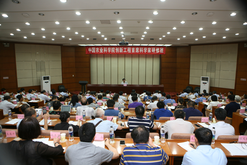 麻豆社