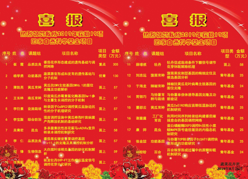 麻豆社