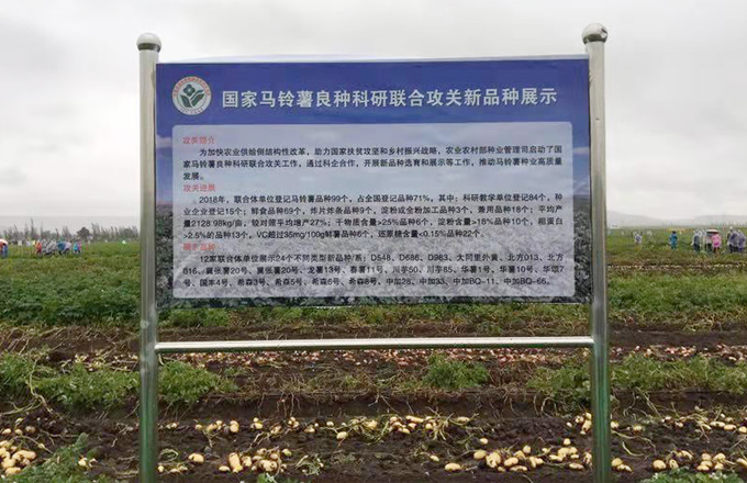 麻豆社