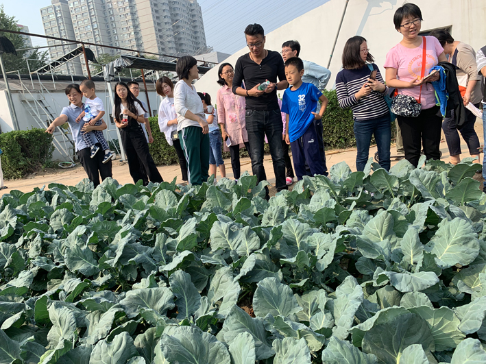 麻豆社