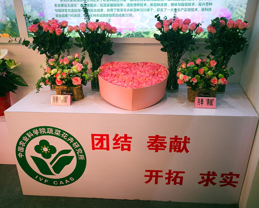 麻豆社
