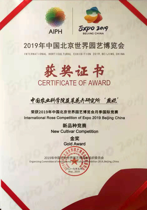 麻豆社