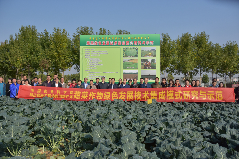 麻豆社