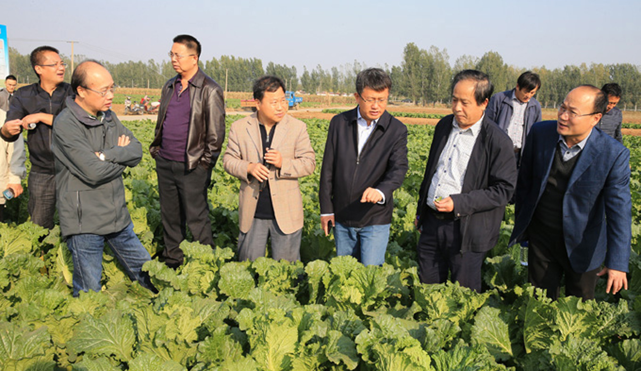 麻豆社
