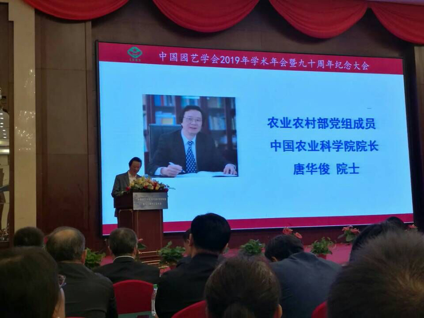 麻豆社