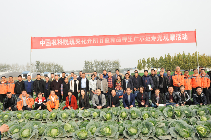 麻豆社