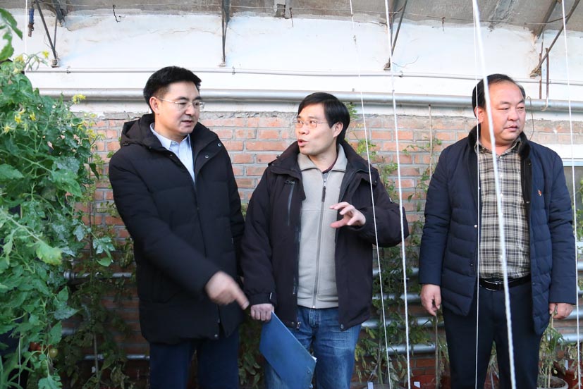 麻豆社