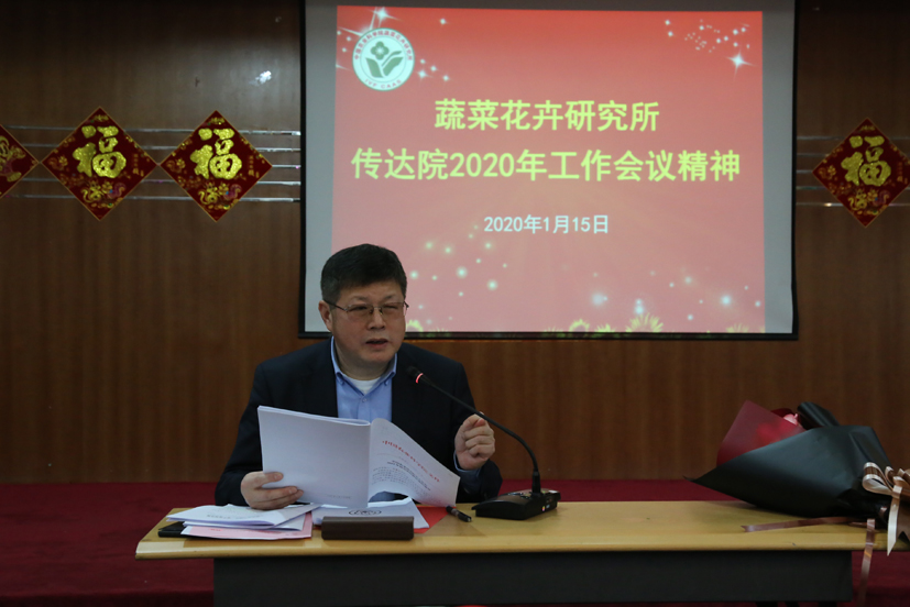 麻豆社