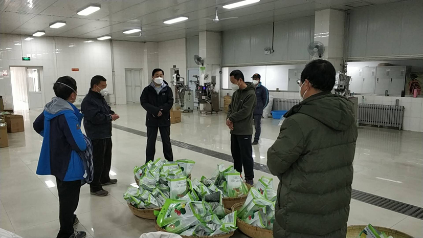 麻豆社