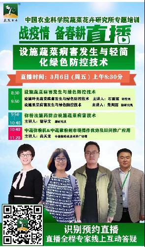 麻豆社