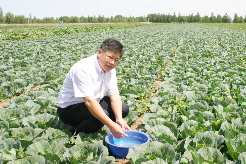 麻豆社