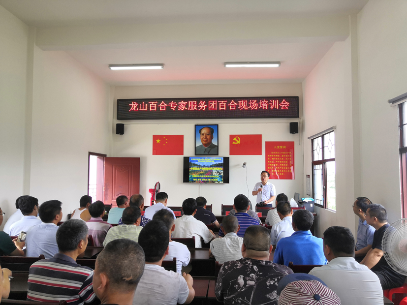 麻豆社