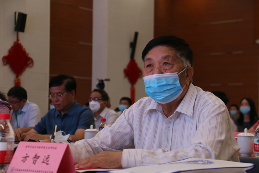 麻豆社
