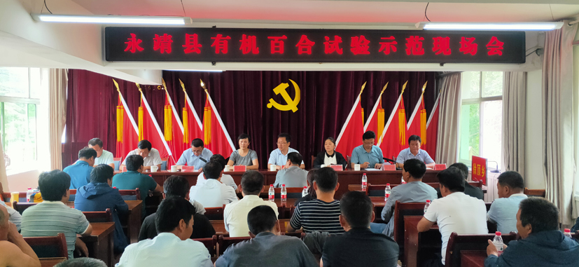 麻豆社