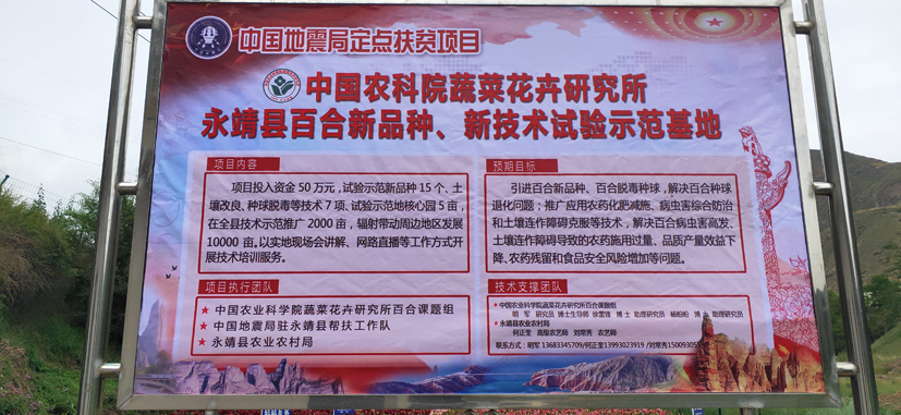麻豆社
