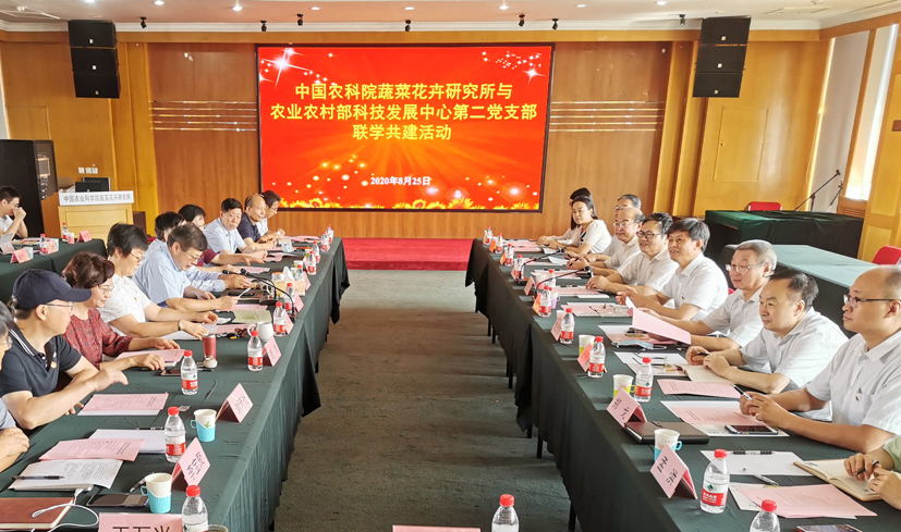 麻豆社