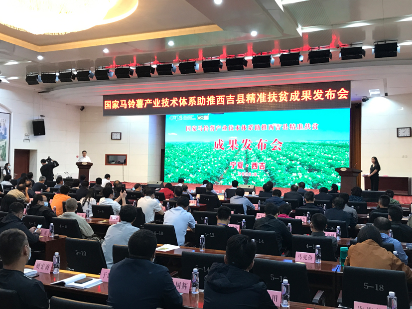 麻豆社