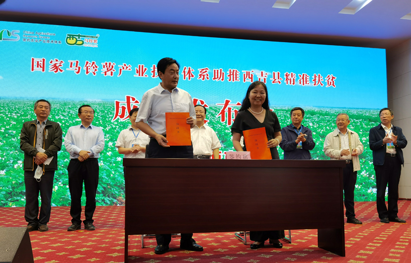 麻豆社