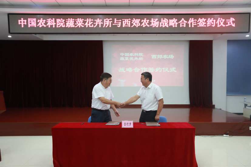 麻豆社
