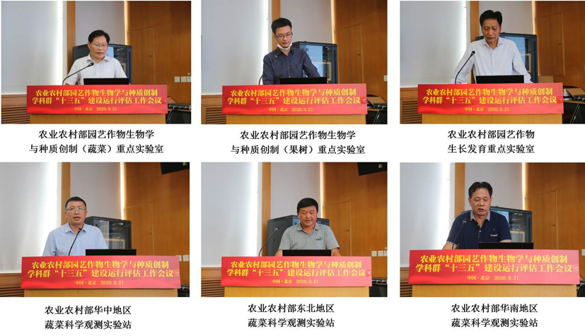 麻豆社