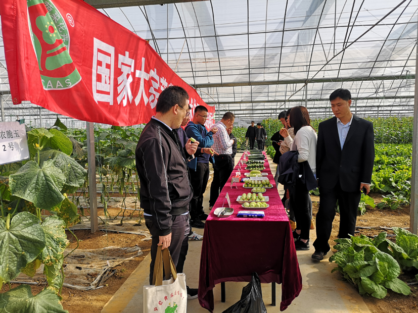 麻豆社