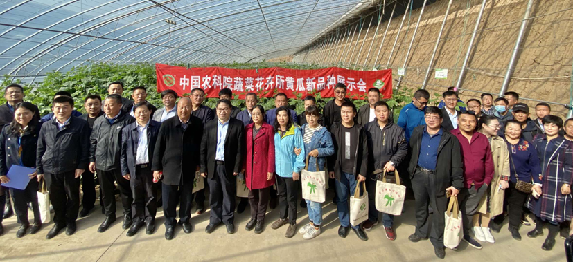 麻豆社