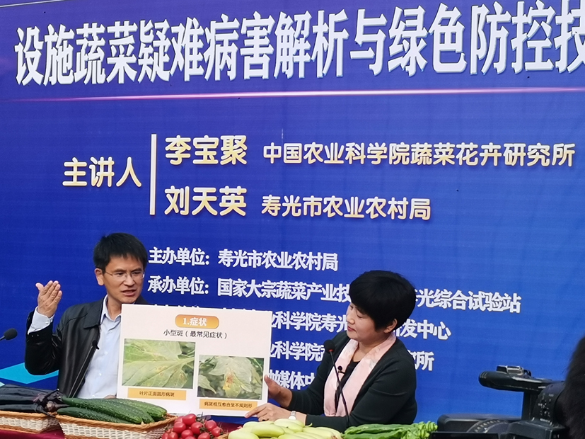 麻豆社