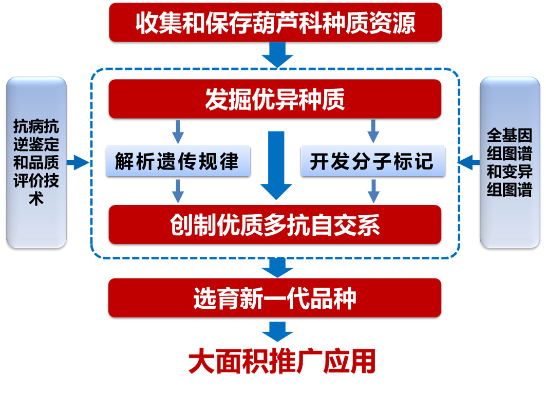 麻豆社