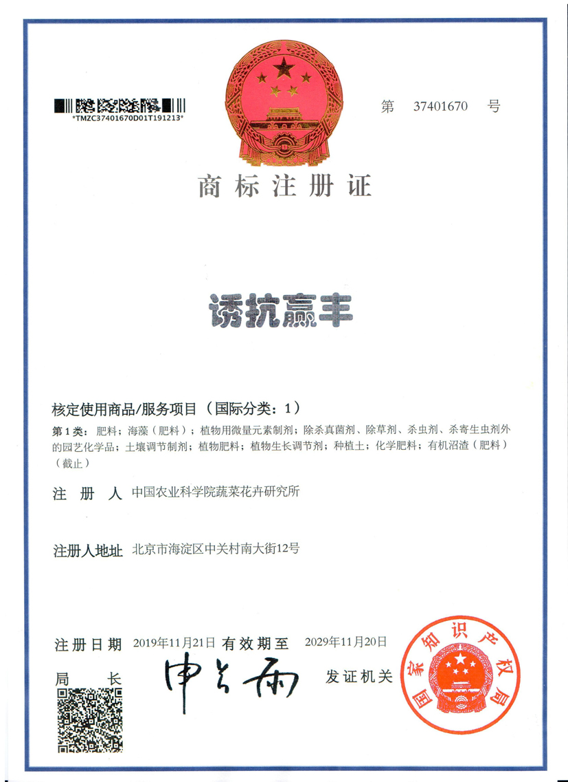 麻豆社
