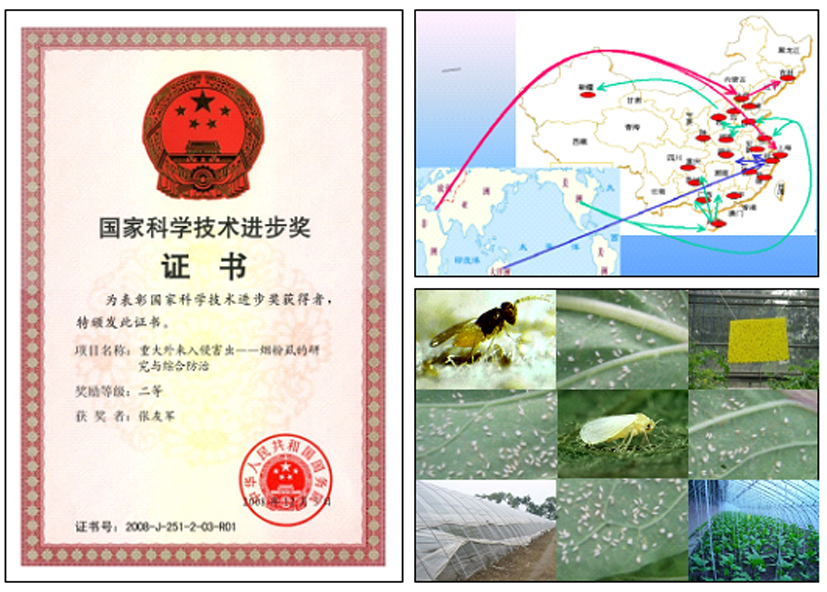 麻豆社