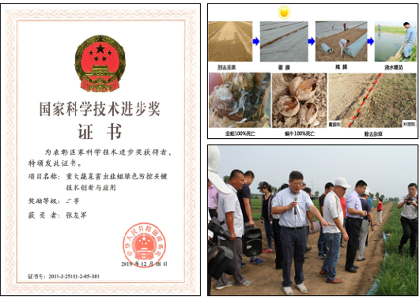 麻豆社