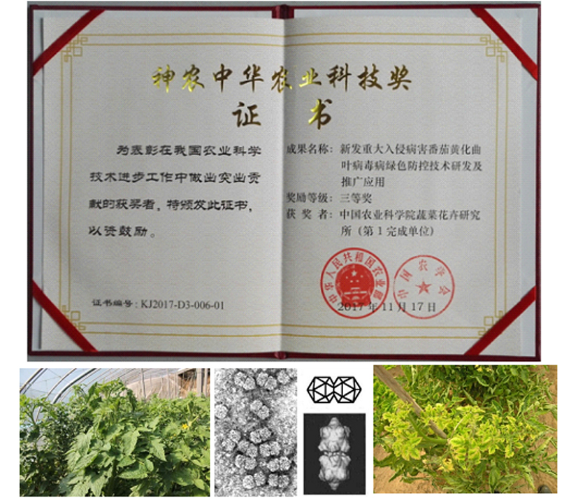 麻豆社