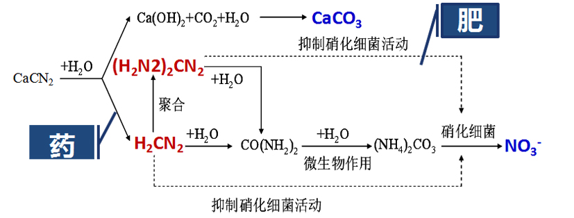 麻豆社