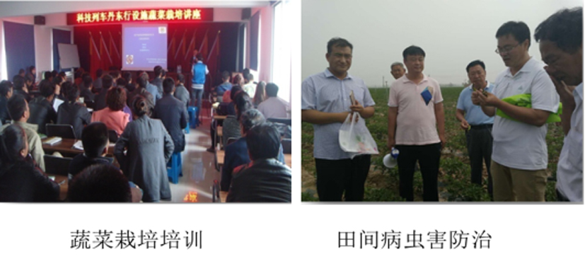 麻豆社