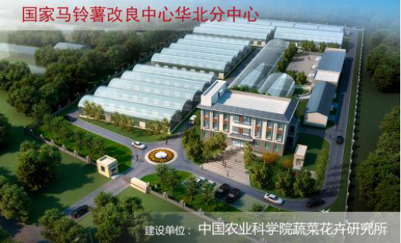 麻豆社