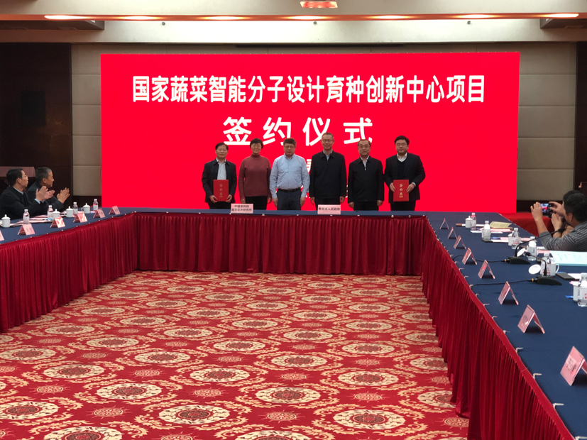 麻豆社