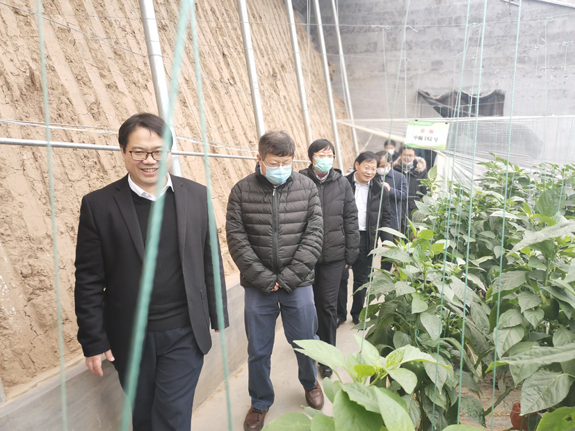 麻豆社