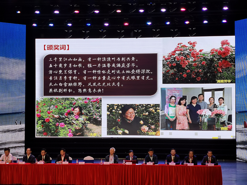 麻豆社