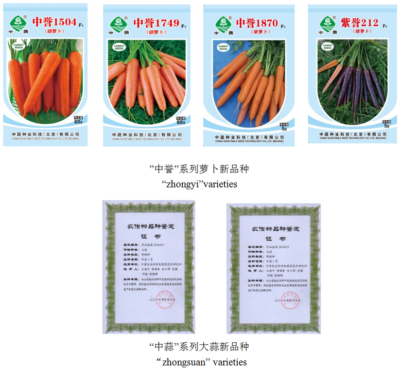麻豆社
