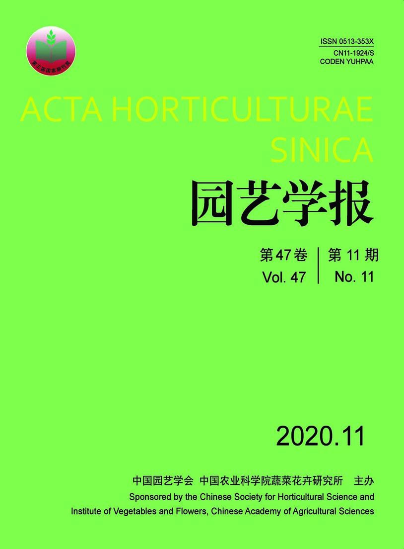 麻豆社
