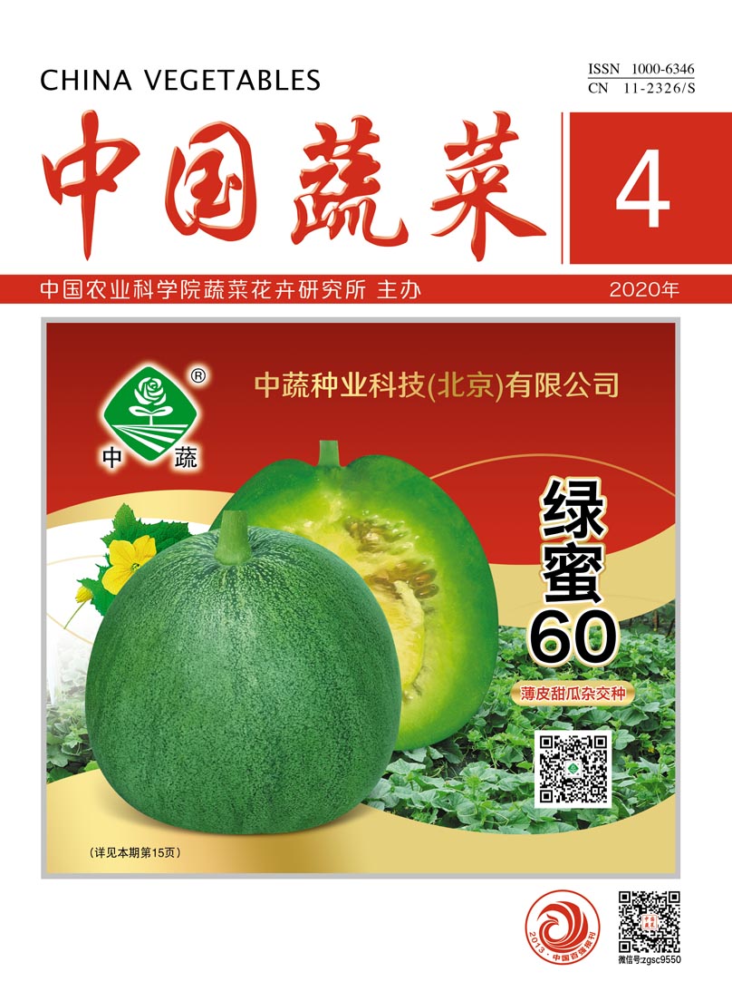 麻豆社