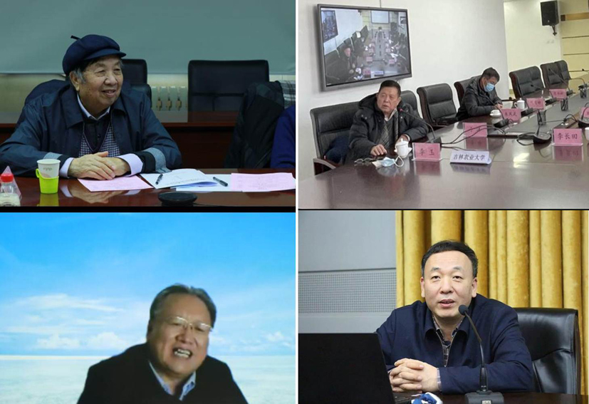麻豆社