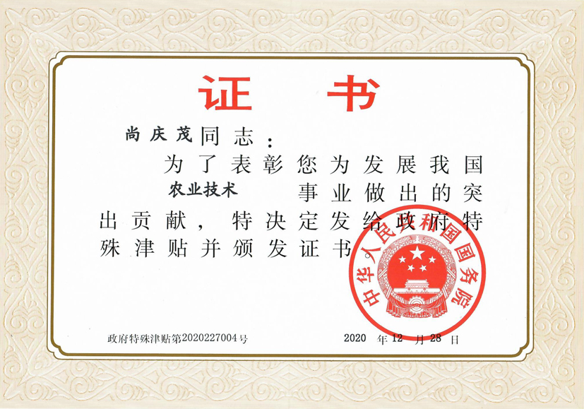 麻豆社