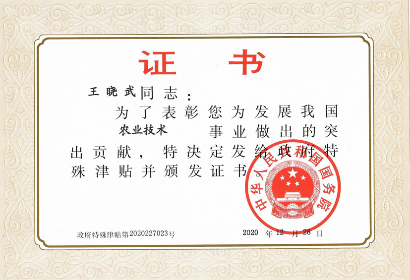 麻豆社