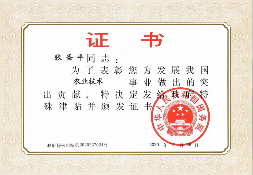 麻豆社