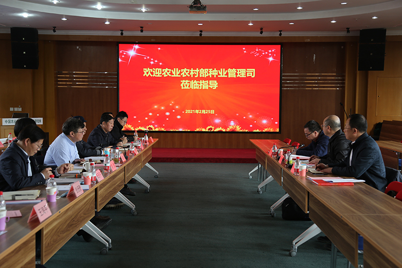 麻豆社